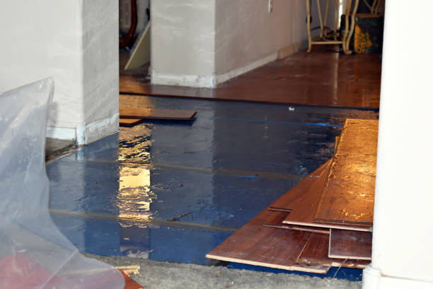 Professional Sewage Cleanup technician working in Monticello, IA